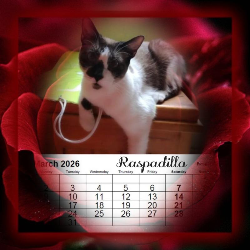 ElianaCT uploaded   43  day/s  ago