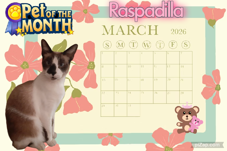 ElianaCT uploaded   49  day/s  ago