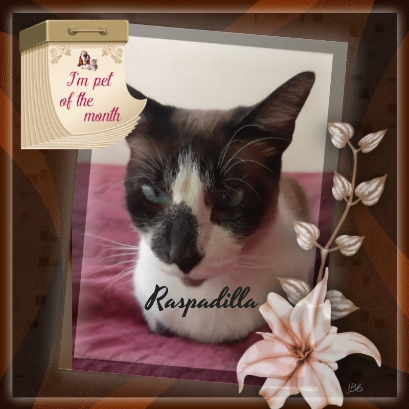 ElianaCT uploaded   22  day/s  ago