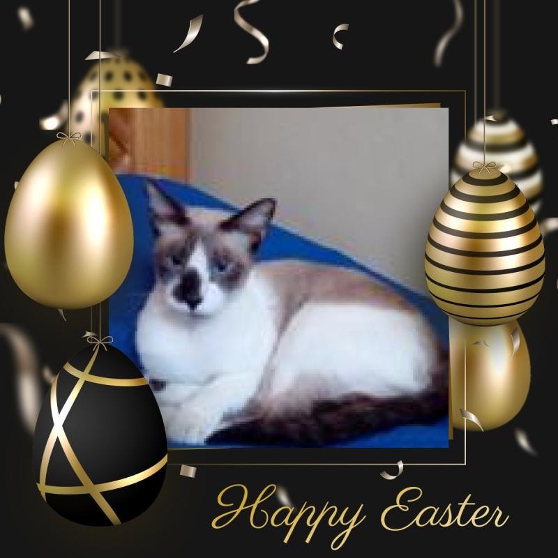 ElianaCT uploaded   12  day/s  ago