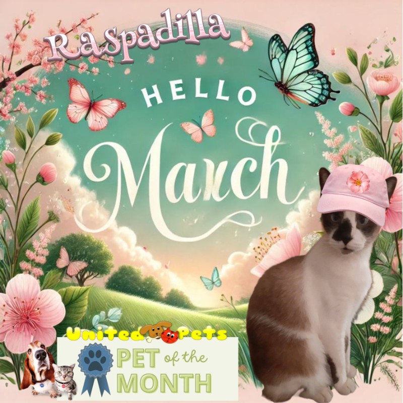 ElianaCT uploaded   12  day/s  ago