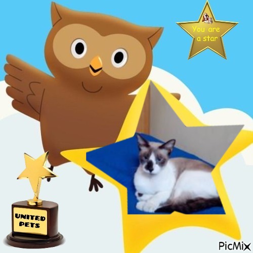 ElianaCT uploaded   35  day/s  ago