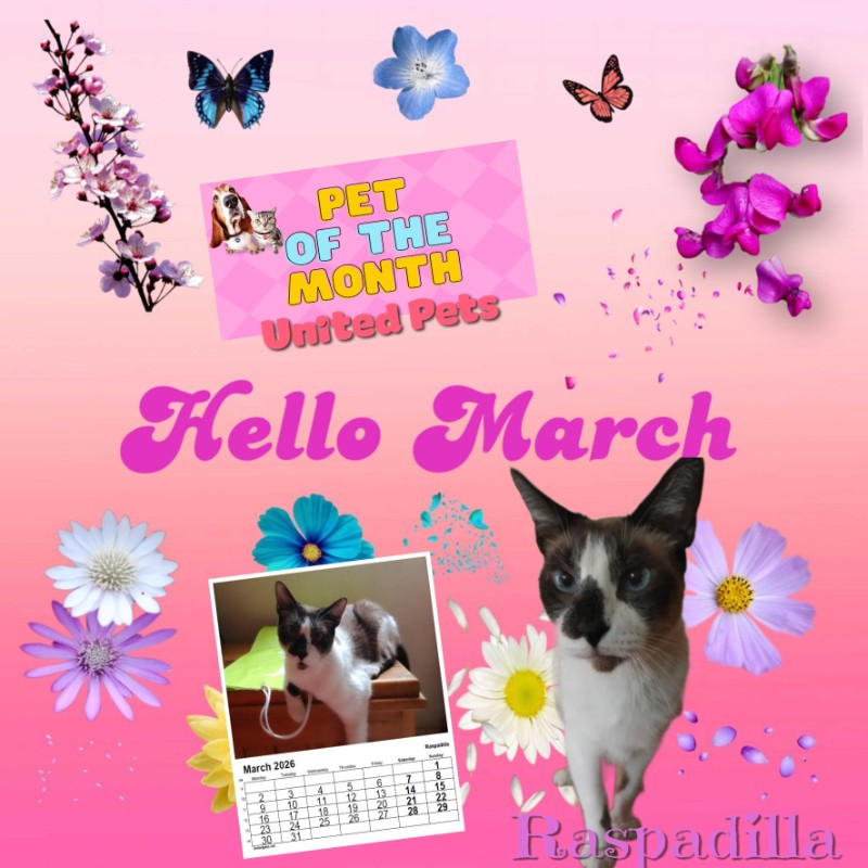 Raspadilla of the ElianaCT family