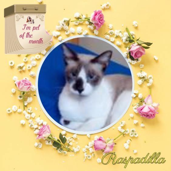 ElianaCT uploaded   48  day/s  ago