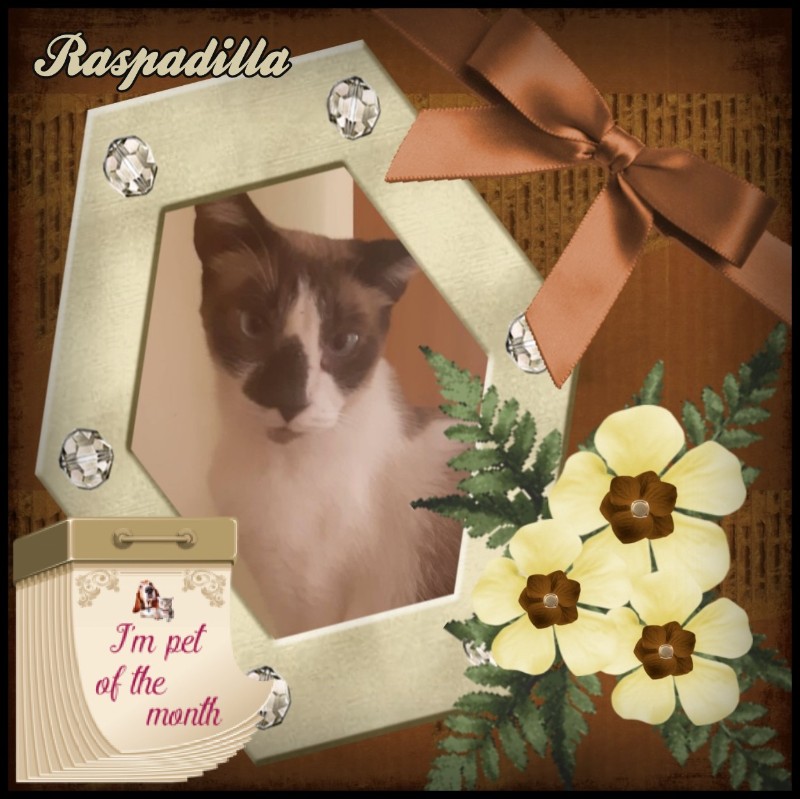 Raspadilla of the ElianaCT family