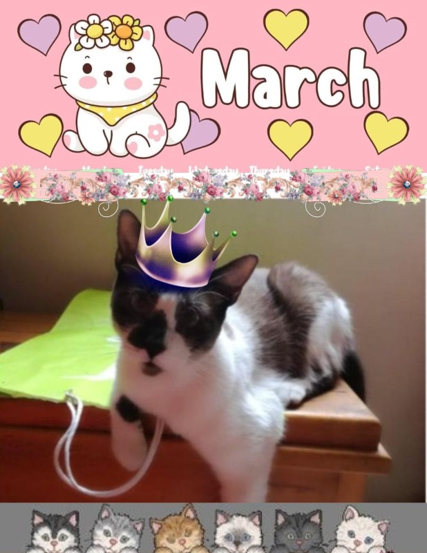 ElianaCT uploaded   48  day/s  ago