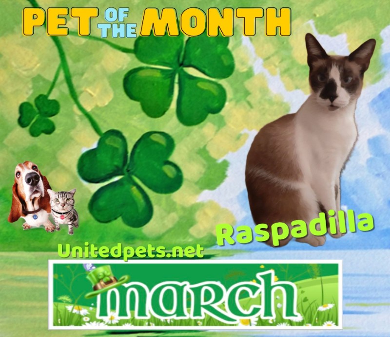 ElianaCT uploaded   34  day/s  ago