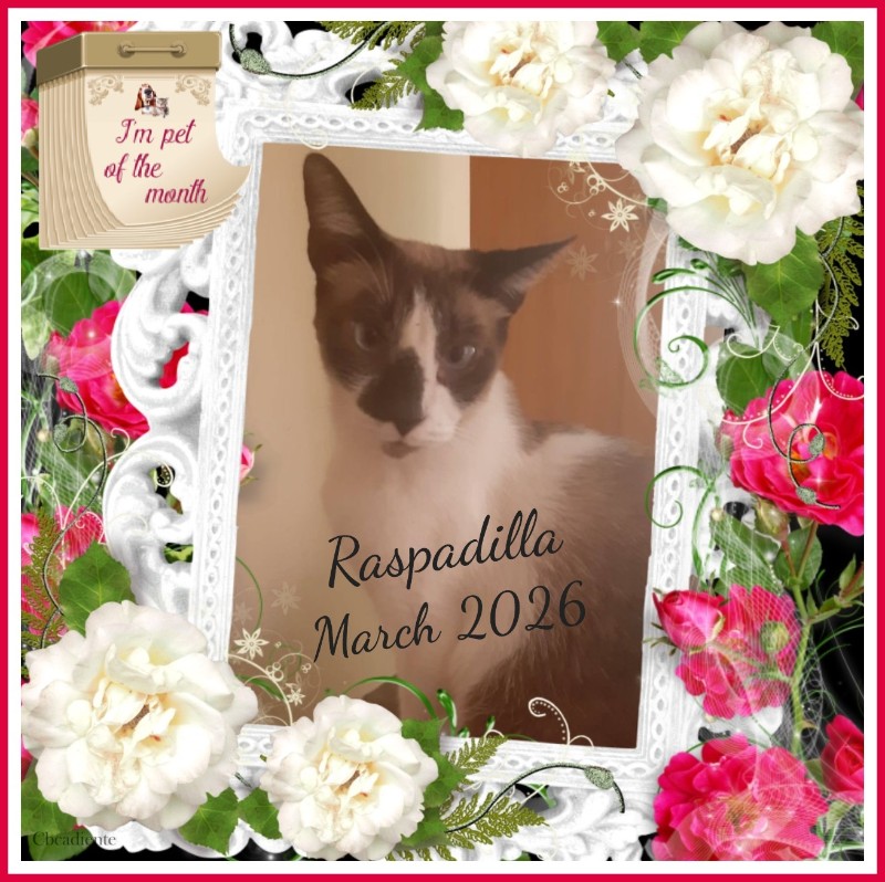 ElianaCT uploaded   48  day/s  ago