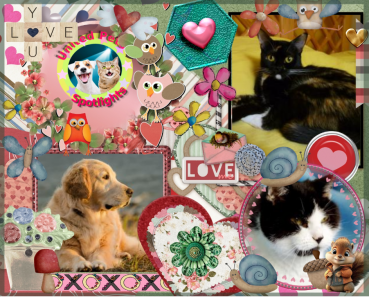 Kiry of the ElianaCT family