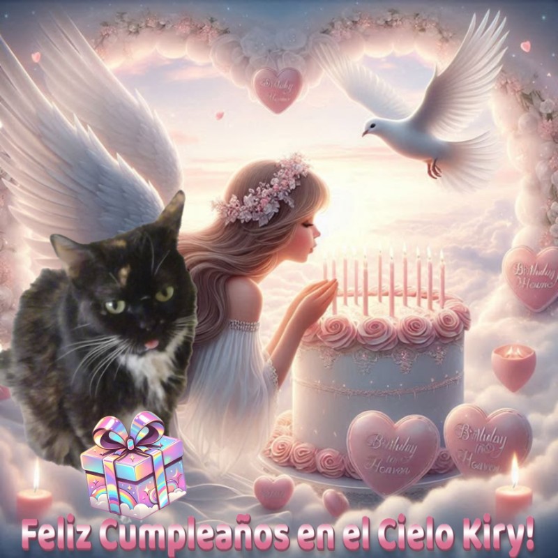 Kiry of the ElianaCT family