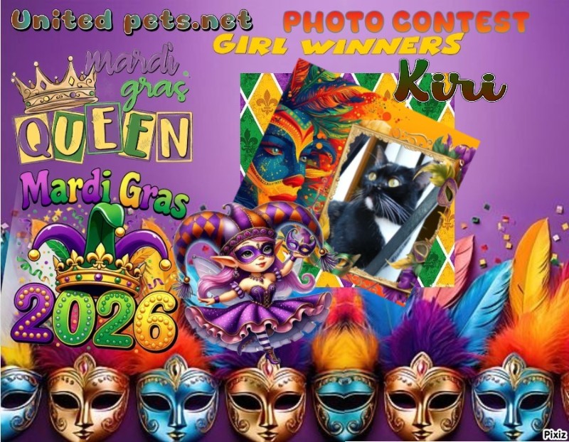 ElianaCT uploaded   80  day/s  ago