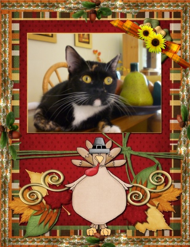 Kiry of the ElianaCT family