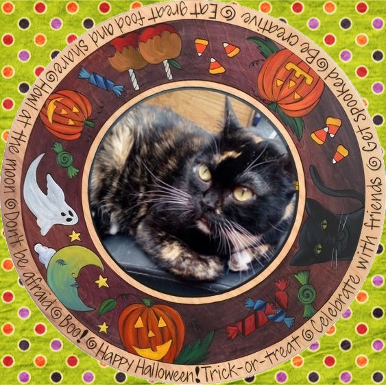 Kiry of the ElianaCT family