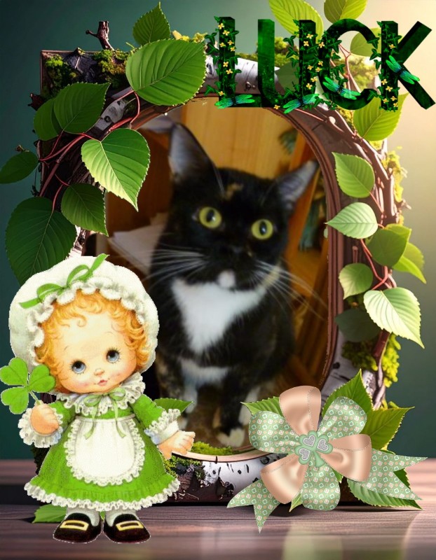 Kiry of the ElianaCT family