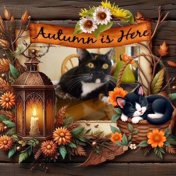 Kiry of the ElianaCT family