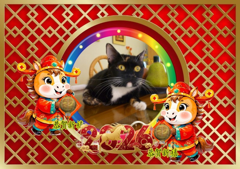 ElianaCT uploaded   93  day/s  ago