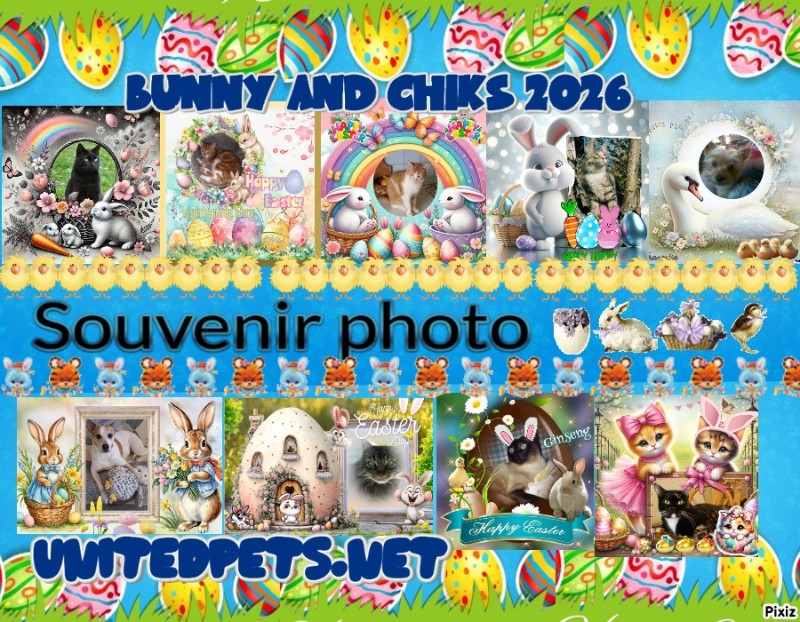 ElianaCT uploaded   1  day/s  ago