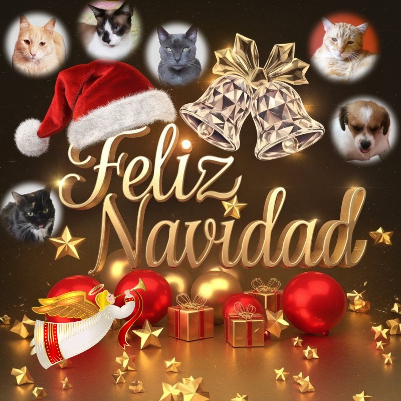 Kiry of the ElianaCT family