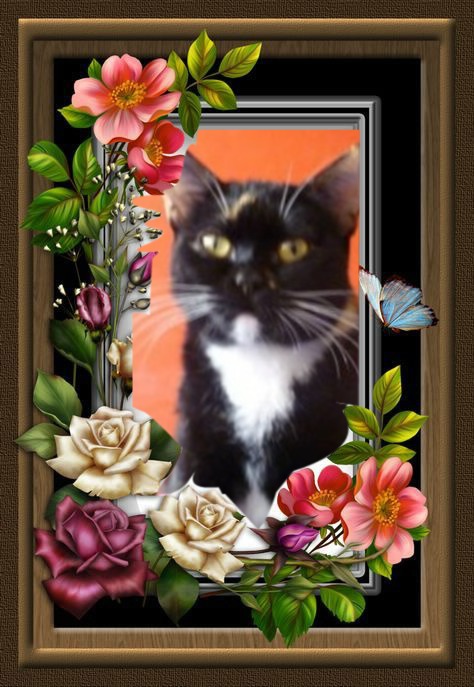 ElianaCT uploaded   76  day/s  ago