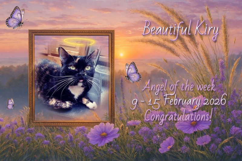 ElianaCT uploaded   74  day/s  ago