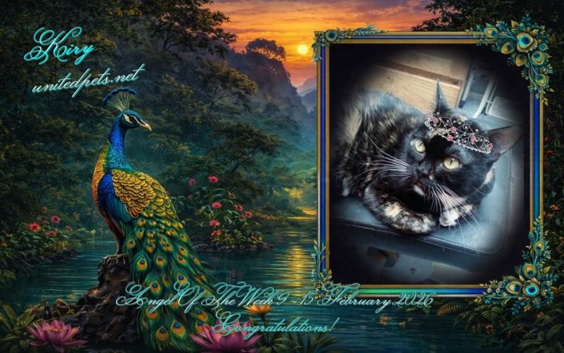 ElianaCT uploaded   74  day/s  ago