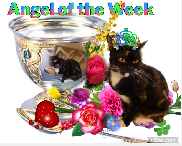 Kiry of the ElianaCT family