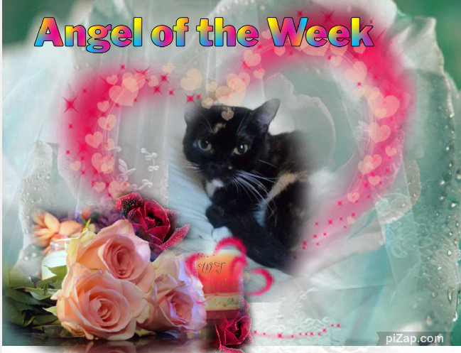 Kiry of the ElianaCT family