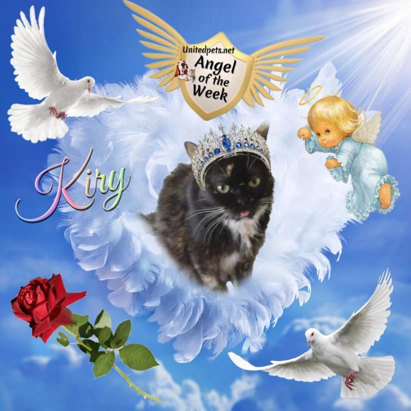 ElianaCT uploaded   73  day/s  ago