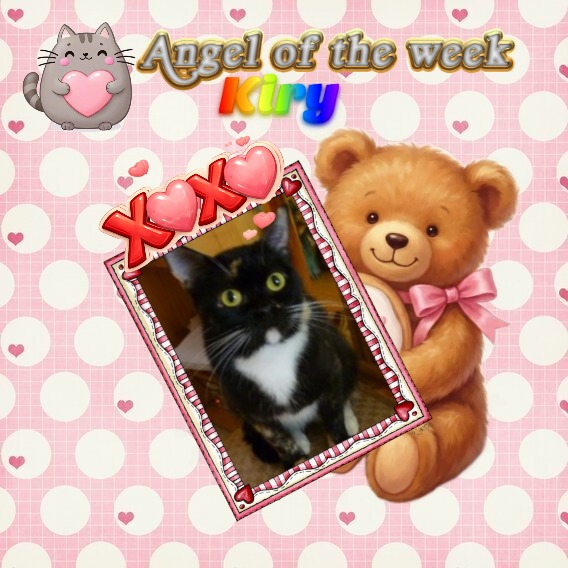 ElianaCT uploaded   75  day/s  ago