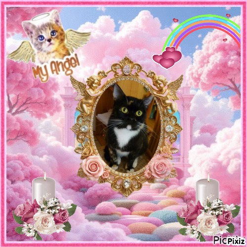 ElianaCT uploaded   73  day/s  ago