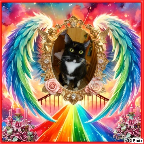 ElianaCT uploaded   73  day/s  ago