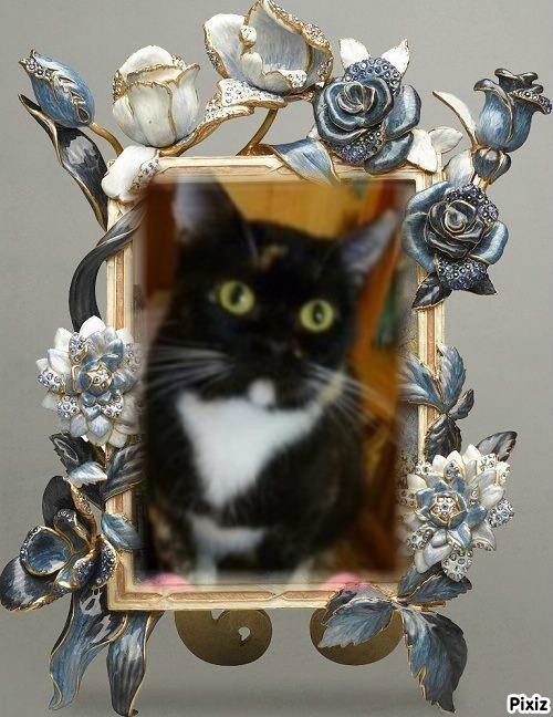 ElianaCT uploaded   73  day/s  ago