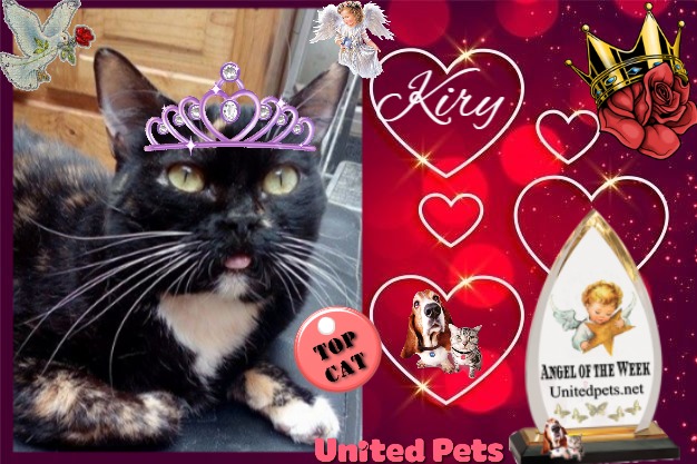 ElianaCT uploaded   76  day/s  ago