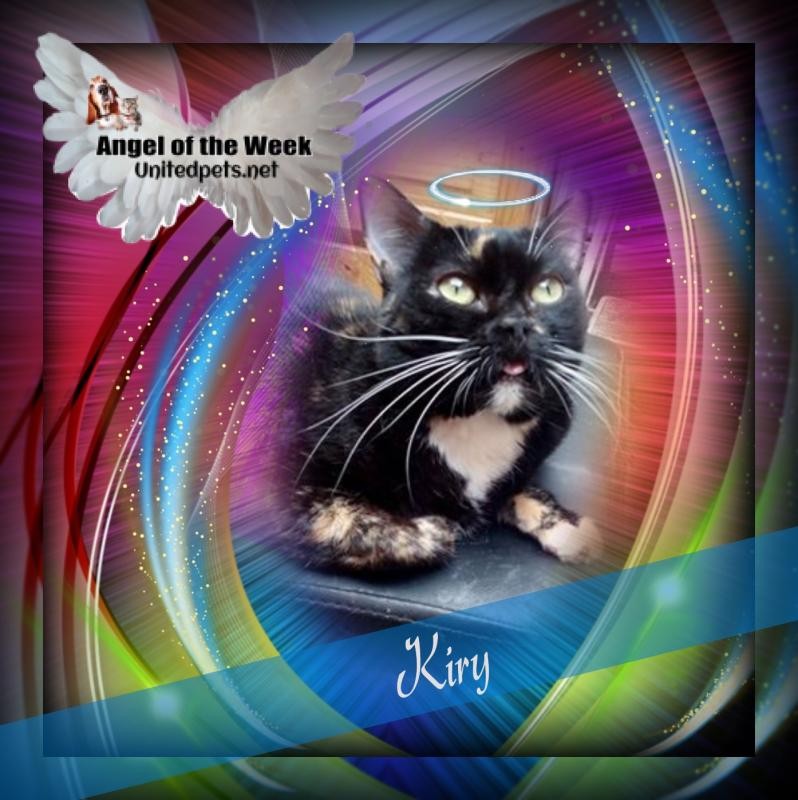 Kiry of the ElianaCT family