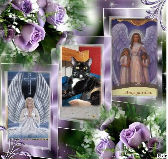 ElianaCT uploaded   77  day/s  ago