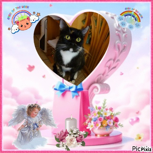 ElianaCT uploaded   73  day/s  ago