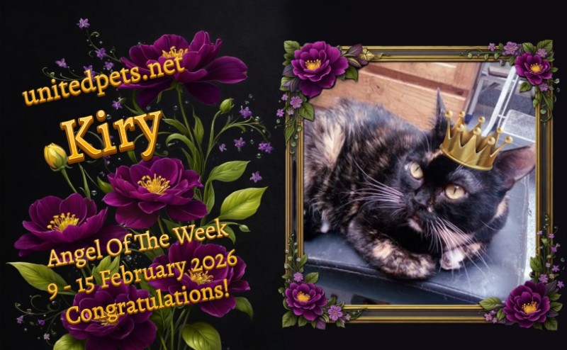 ElianaCT uploaded   74  day/s  ago