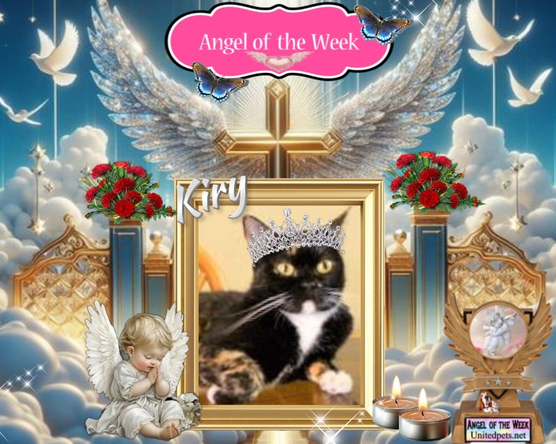 ElianaCT uploaded   76  day/s  ago