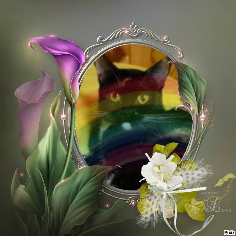 ElianaCT uploaded   75  day/s  ago