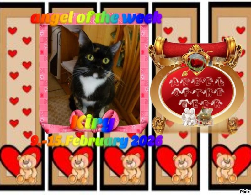 ElianaCT uploaded   77  day/s  ago