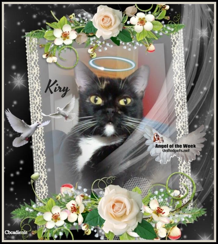 ElianaCT uploaded   73  day/s  ago