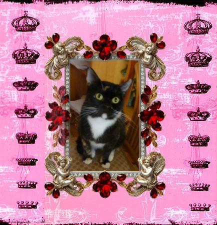 Kiry of the ElianaCT family