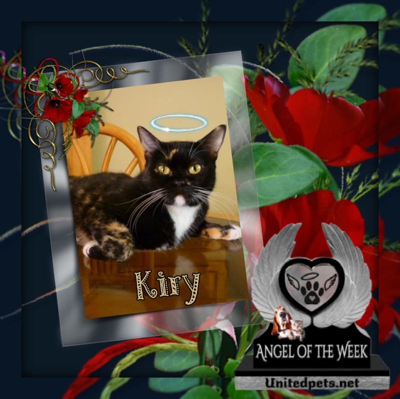 ElianaCT uploaded   74  day/s  ago