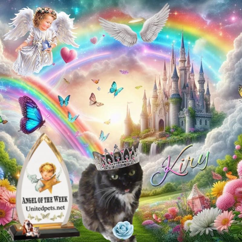 Kiry of the ElianaCT family