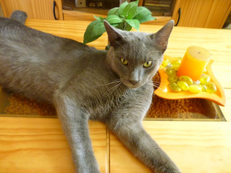 ElianaCT uploaded   10 year/s ago