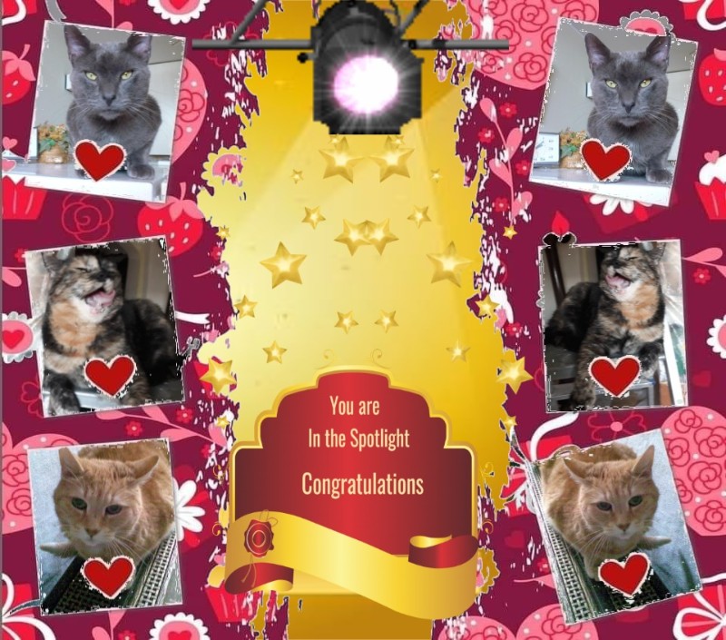 Khiro of the ElianaCT family