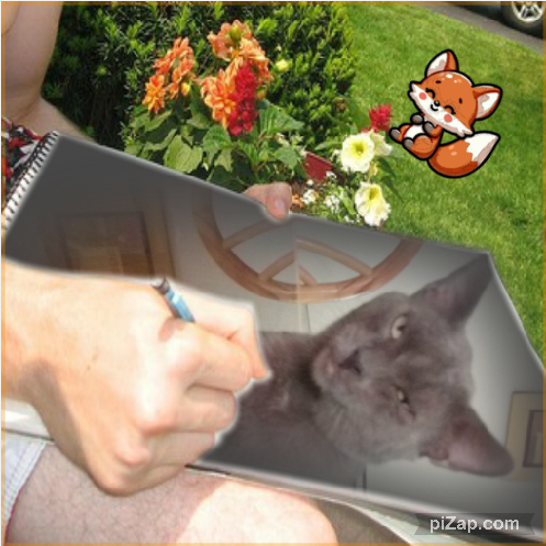 ElianaCT uploaded   90  day/s  ago