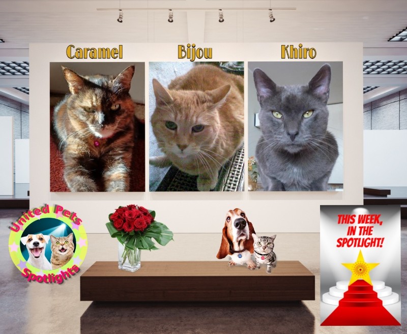 ElianaCT uploaded   91  day/s  ago