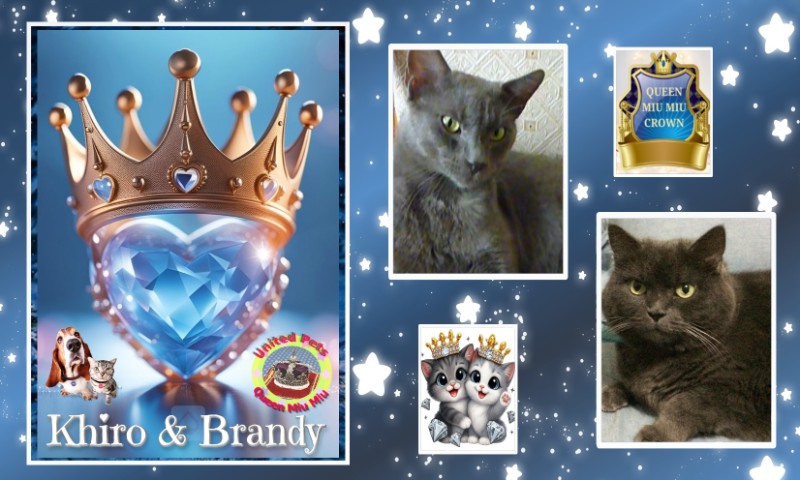 Khiro of the ElianaCT family