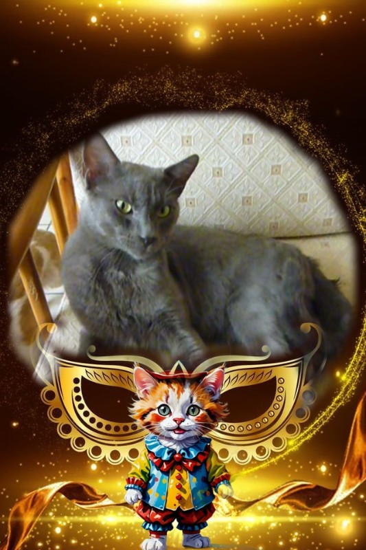 ElianaCT uploaded   93  day/s  ago